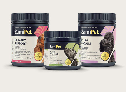 The Best Joint Supplements for Dogs in Australia (2025)