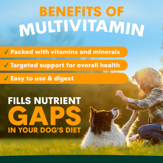 PetzPark Multivitamin – For Dogs