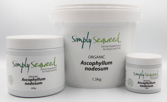 Simply Seaweed – Dental Supplement - The Doggie Shop