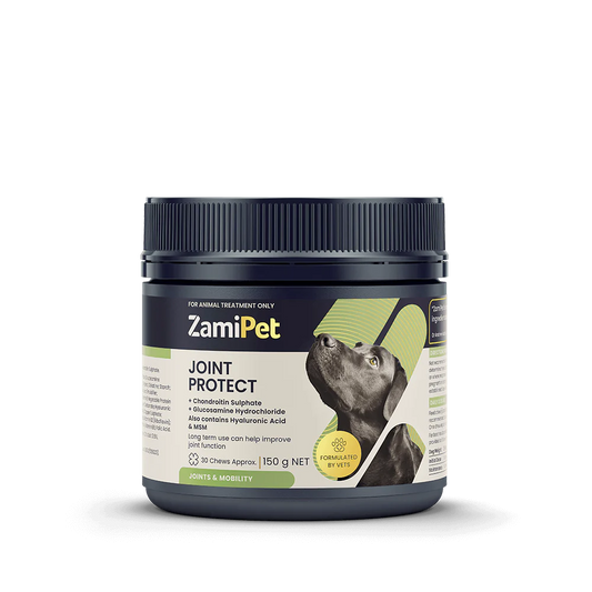 ZamiPet – Joint Protect Chews For Dogs - The Doggie Shop