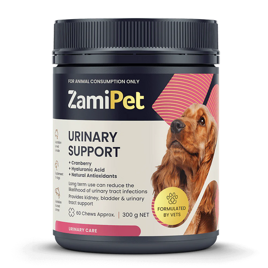 ZamiPet – Urinary Support Chews For Dogs - The Doggie Shop
