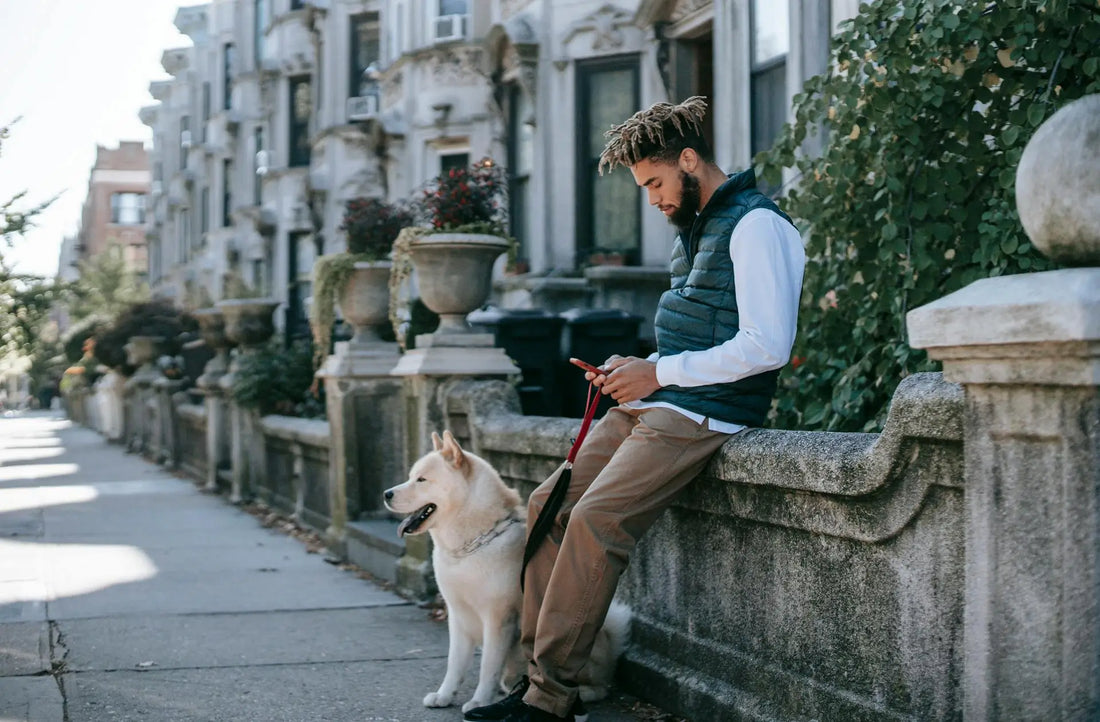Australian Pet Industry Trends: Key Points You Need to Know in 2024