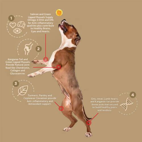 Stay Loyal – Natural Joint Health Treats - The Doggie Shop
