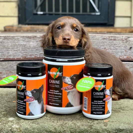 Rose Hip Vital – Canine - The Doggie Shop