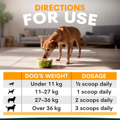 PetzPark Multivitamin – For Dogs