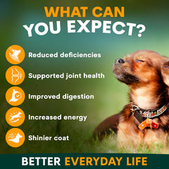PetzPark Multivitamin – For Dogs
