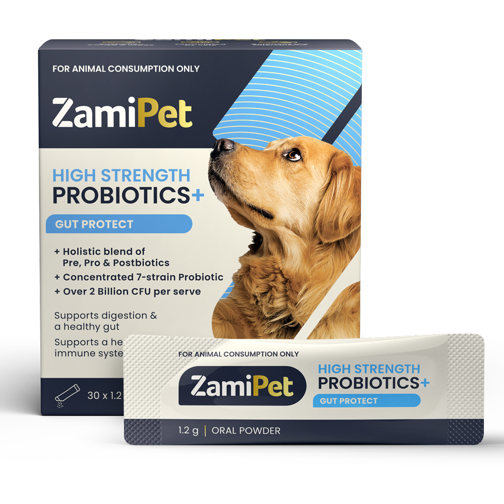 ZamiPet – High Strength Probiotics+ for Dogs - The Doggie Shop