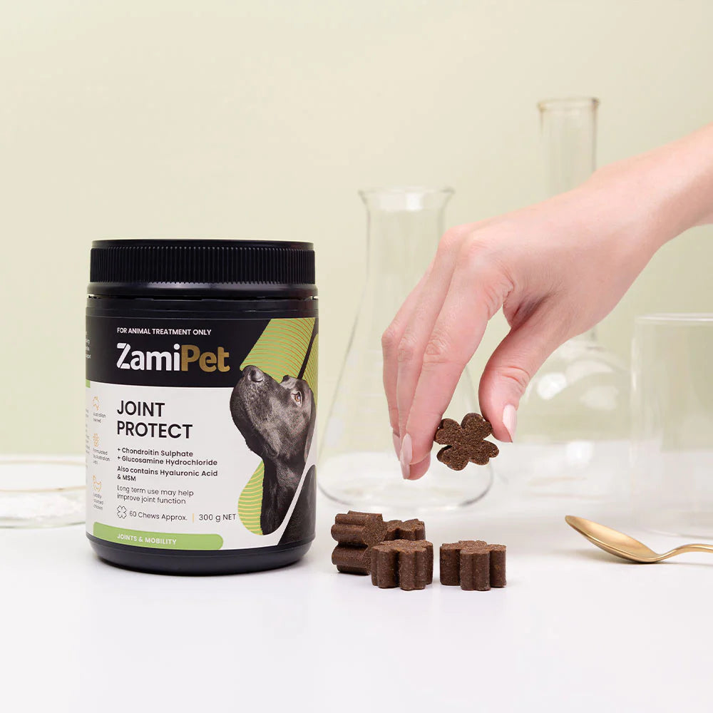 ZamiPet – Joint Protect Chews For Dogs - The Doggie Shop