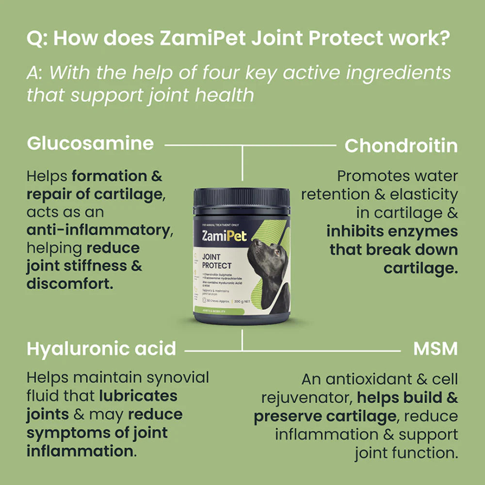 ZamiPet – Joint Protect Chews For Dogs - The Doggie Shop