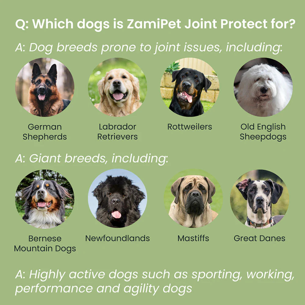 ZamiPet – Joint Protect Chews For Dogs - The Doggie Shop
