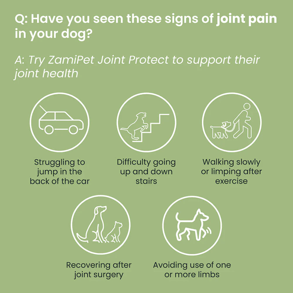 ZamiPet – Joint Protect Chews For Dogs - The Doggie Shop