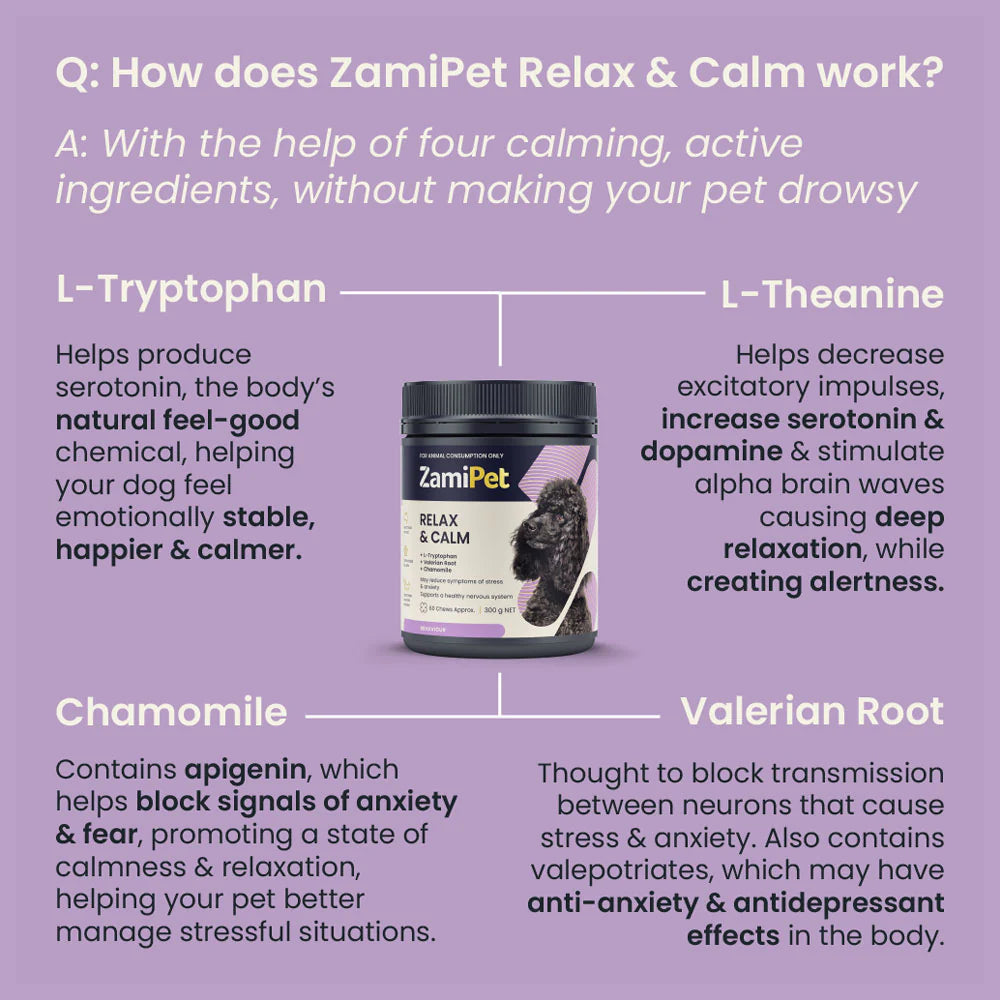 ZamiPet – Relax & Calm Chews For Dogs - The Doggie Shop