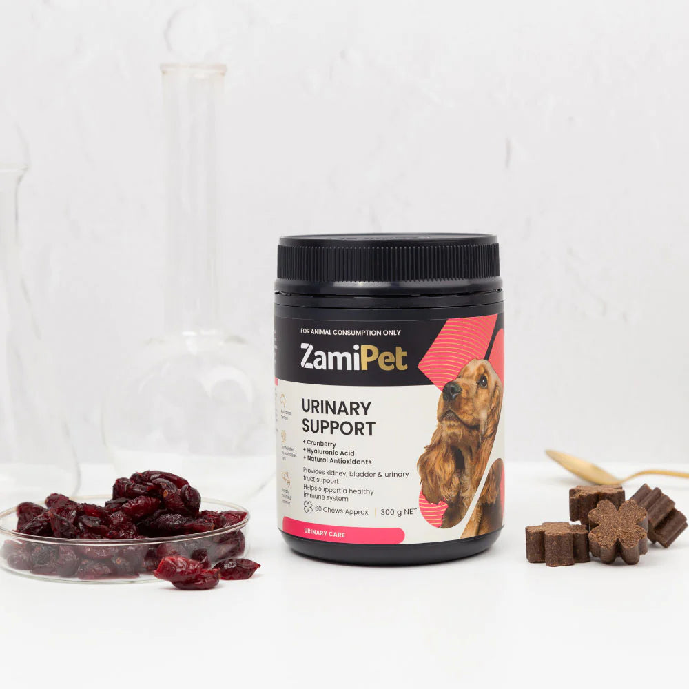 ZamiPet – Urinary Support Chews For Dogs - The Doggie Shop