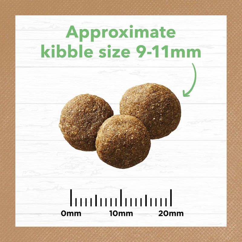 Ivory Coat Puppy GRAIN FREE Large Breed Lamb - 2kg - The Doggie Shop